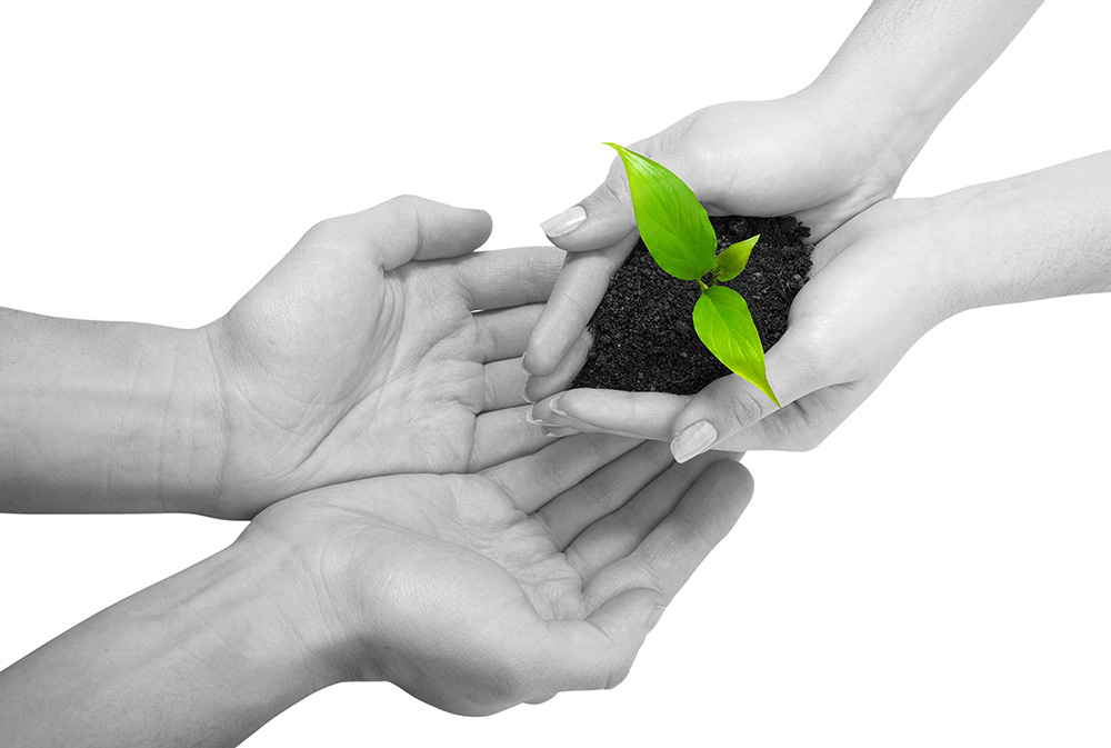 无缝版本升级的在线ddos网页端